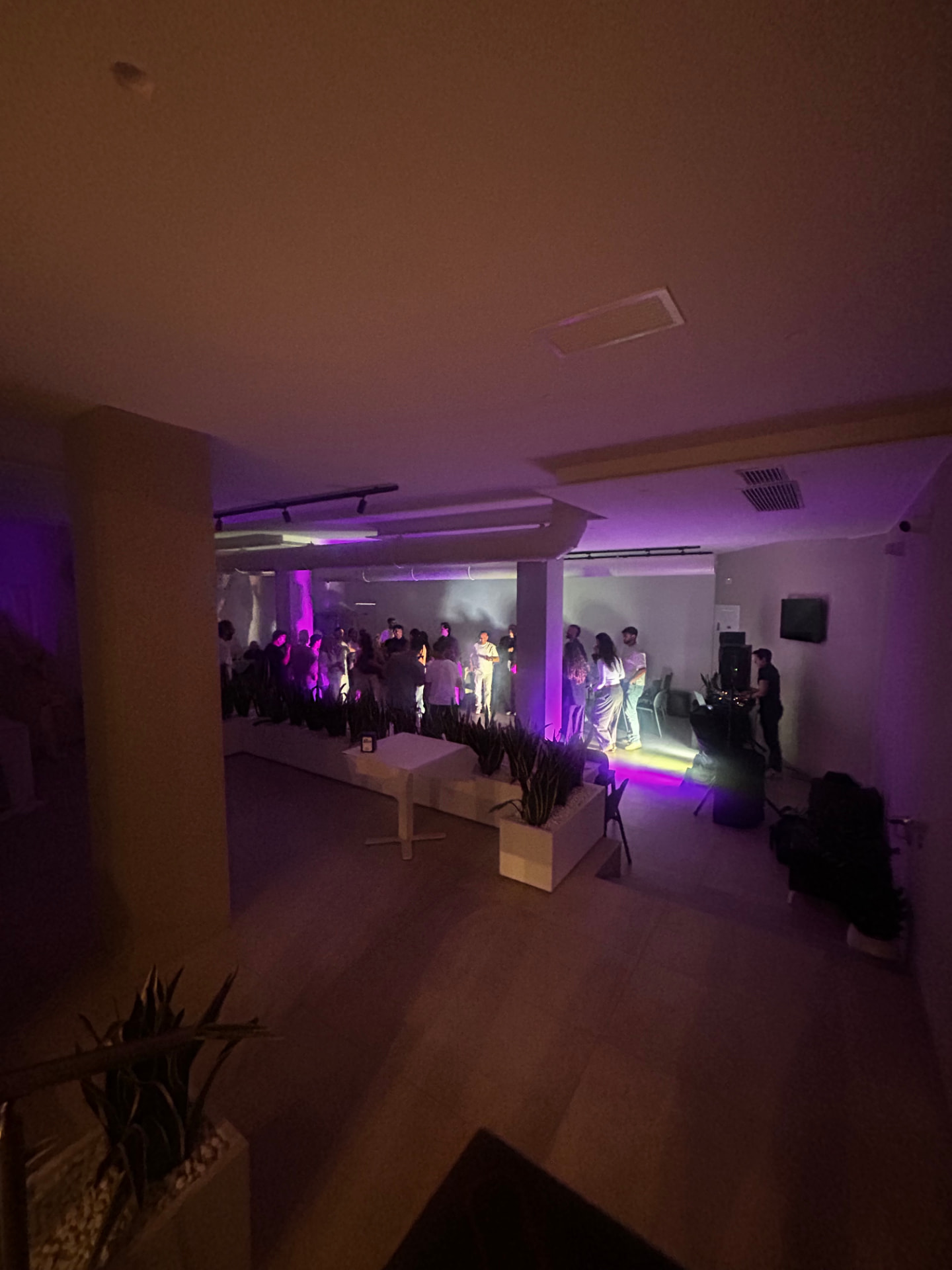 Sala Divino durante una festa con luci e DJ